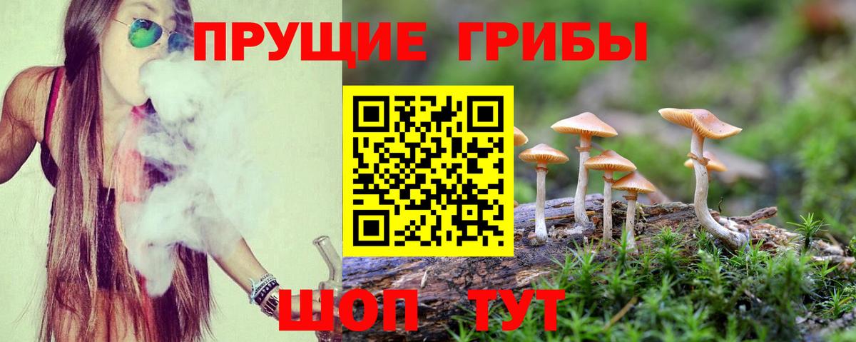 Галлюциногенные грибы мицелий  Вход с VPN  Вязники  Галлюциногенные грибы MAGIC MUSHROOMS 
